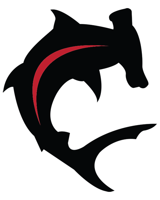hammerhead icon